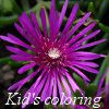 Play Kingdom of the flowers: Purple beauty