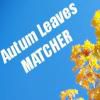 Play Autum Leaves Matcher