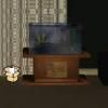 Play Gold Room Escape 9