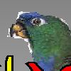 Play Bordy Gordy