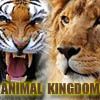 Play Animal Kingdom Quiz