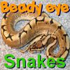 Play Beady Eye - Snakes