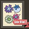Play Color Blind 2