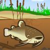 Catfish Fry A Free Action Game