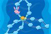 Play Cunning Turtle and Rabbit