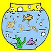 Play Big aquarium and fishes coloring