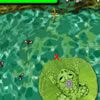 Frog Feast A Free Action Game