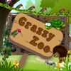 Play Crazzy Zoo