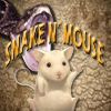Snake n` Mouse