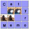 Cat Memory!