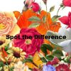 Spot The Difference