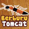 Berburu Tomcat