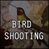 Play BIRD SHOOTING