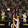 Play BunnyLimpics Volleyball