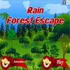 Rain Forest Escape