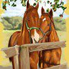 Play Horses Art Book