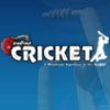 Play OnlineCricket