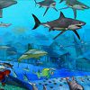 Play Underwater Fish Hidden Objects