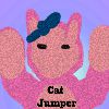 Cat Jumper