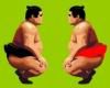 Challenge of the Sumo wrestlers