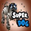 Super DOG 2013