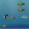 Play Fish Adventure