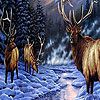 Play Snow and deers hidden numbers