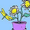 Play Helianthus flowers and flies coloring