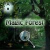 Magic Forest