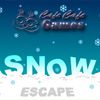Play Snow Escape