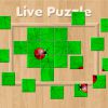 Play Live Puzzle