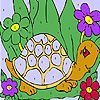 Play Funny sea turtle coloring