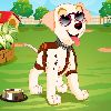 Play puppy dress up games