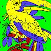 Old parrot coloring