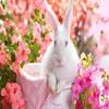 Play rabbit puzzle