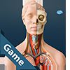 Anatomicus Anatomy Game