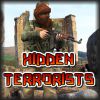 Play Hidden Terrorists