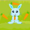 Play Bunny Crazy Time