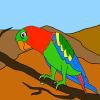 Play Sweet Parrot Coloring