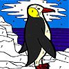 Black penguin coloring