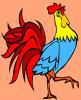 Rooster coloring