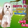 Peppy`s Pet Caring - Havanese Dog