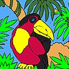 Black parrot on the palm tree coloring