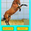 Play Animal Jigsaw