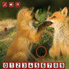 Fox - Hidden Numbers A Free Adventure Game