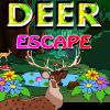 Play Deer Escape
