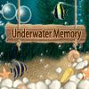 Play Underwater Memory