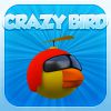 Play Crazy Bird