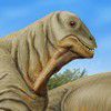 Dino - Hidden Numbers A Free Adventure Game