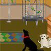 Play Pet Shop